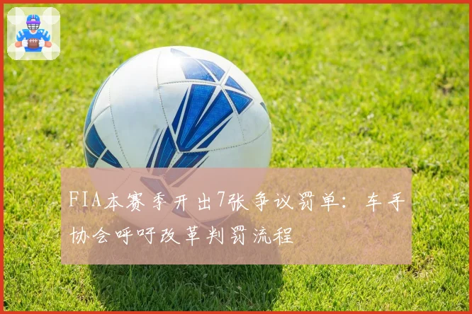 FIA本赛季开出7张争议罚单：车手协会呼吁改革判罚流程