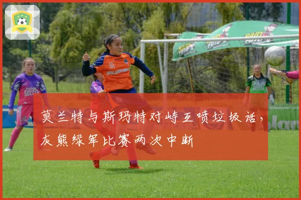 莫兰特与斯玛特对峙互喷垃圾话,灰熊绿军比赛两次中断
